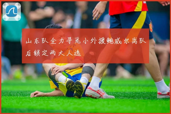 山东队全力寻觅小外援鲍威尔离队后锁定两大人选