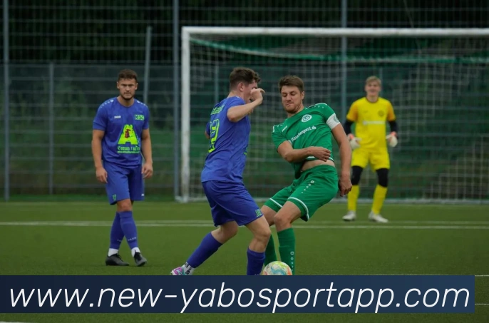 亚博足球平台生态图